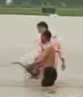 广西横州洪水冲毁养蛇场